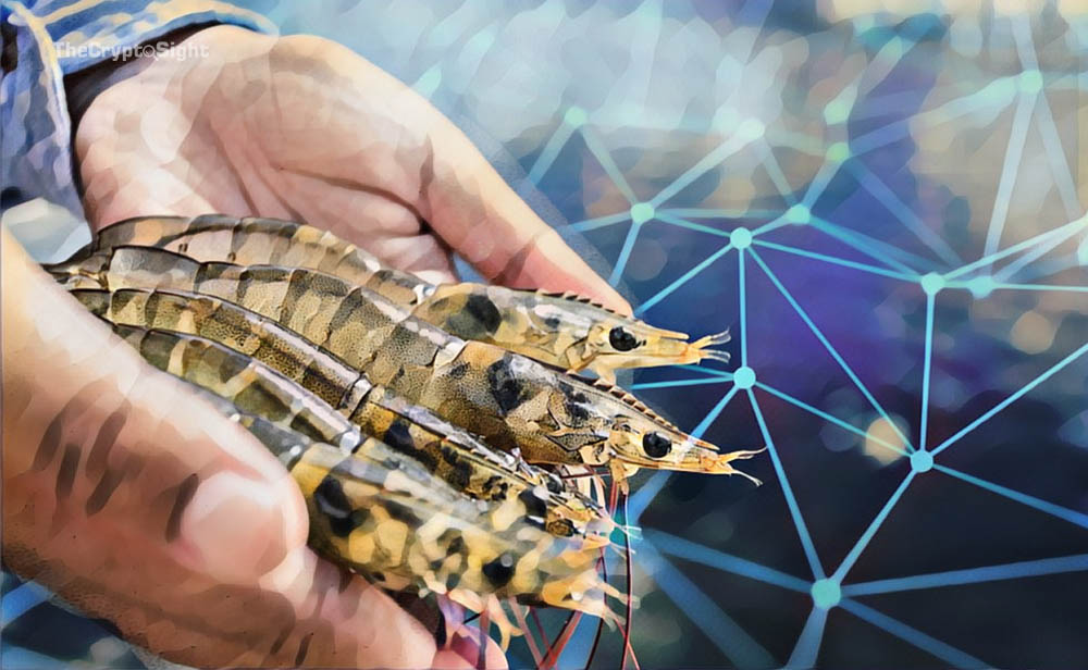 thecryptosight-national-fisheries-institute-to-begin-seafood-blockchain-pilot-with-ibm-food-trust